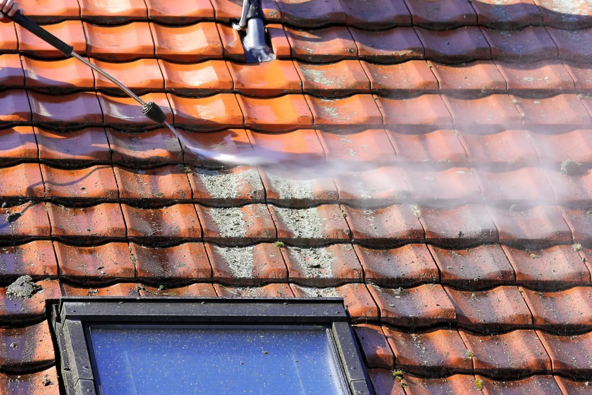 Cleaning moss from roof tiles