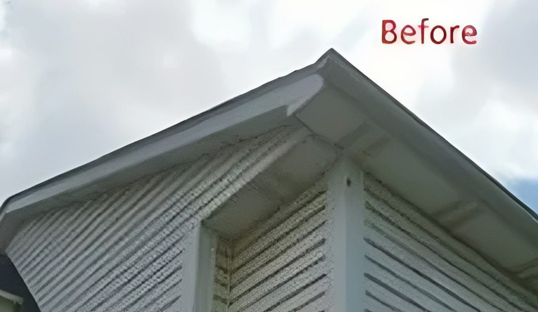 House roofline needing maintenance