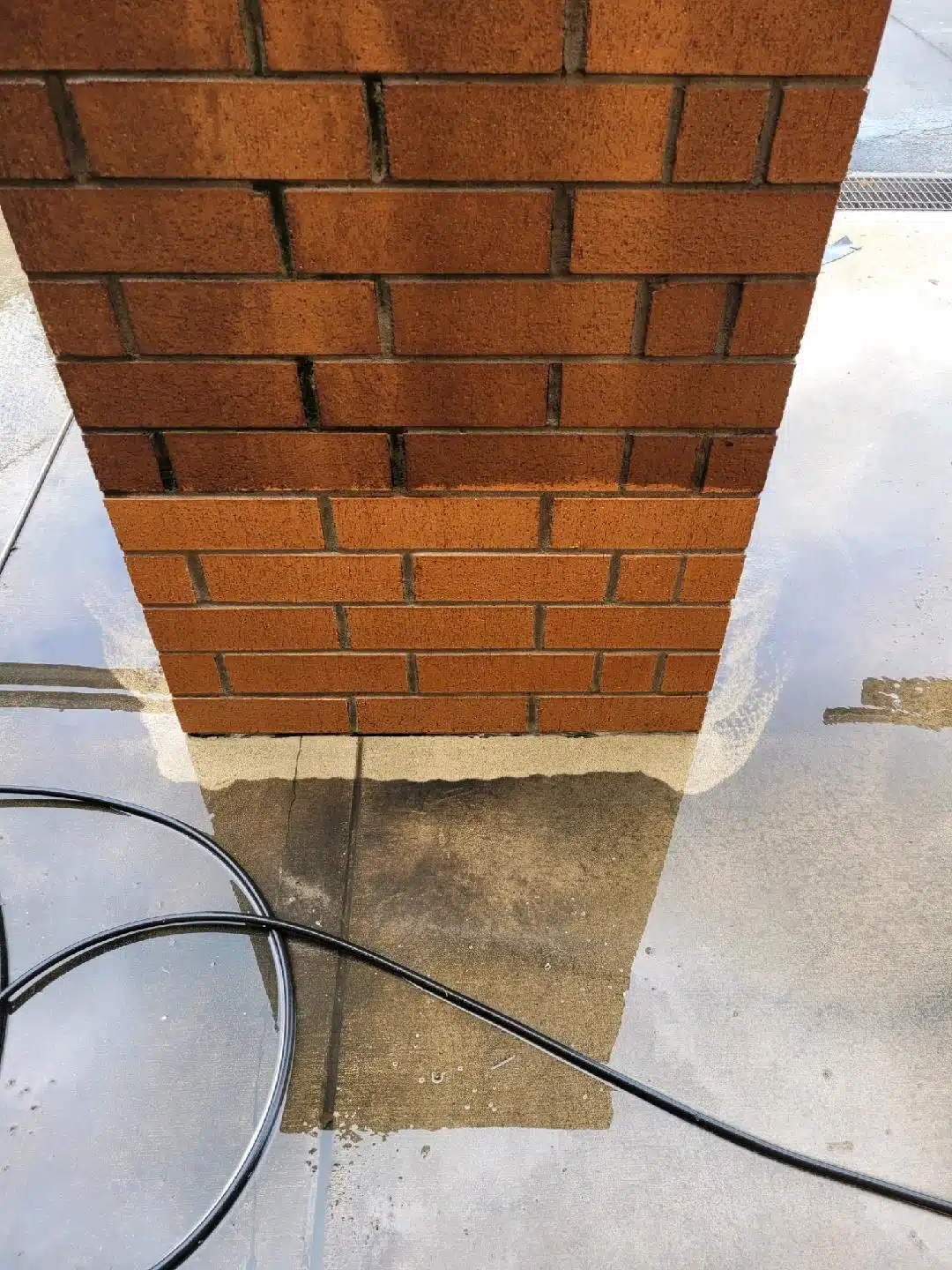 Hose near brick wall and reflection