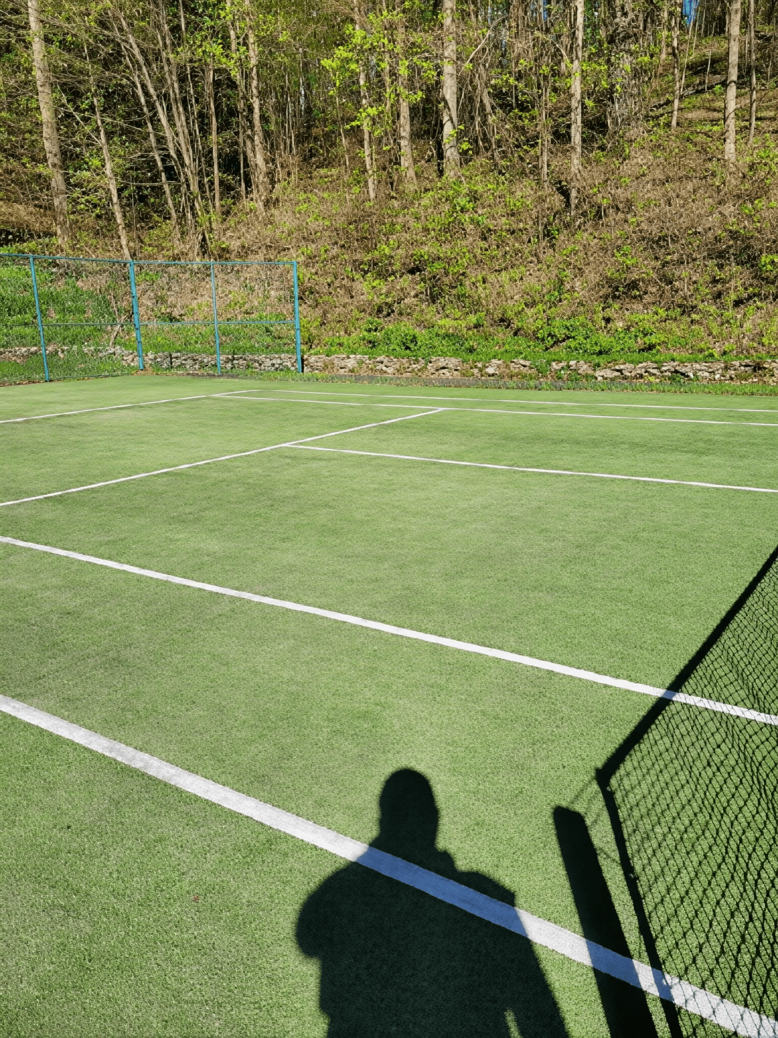 Empty tennis court with surrounding trees