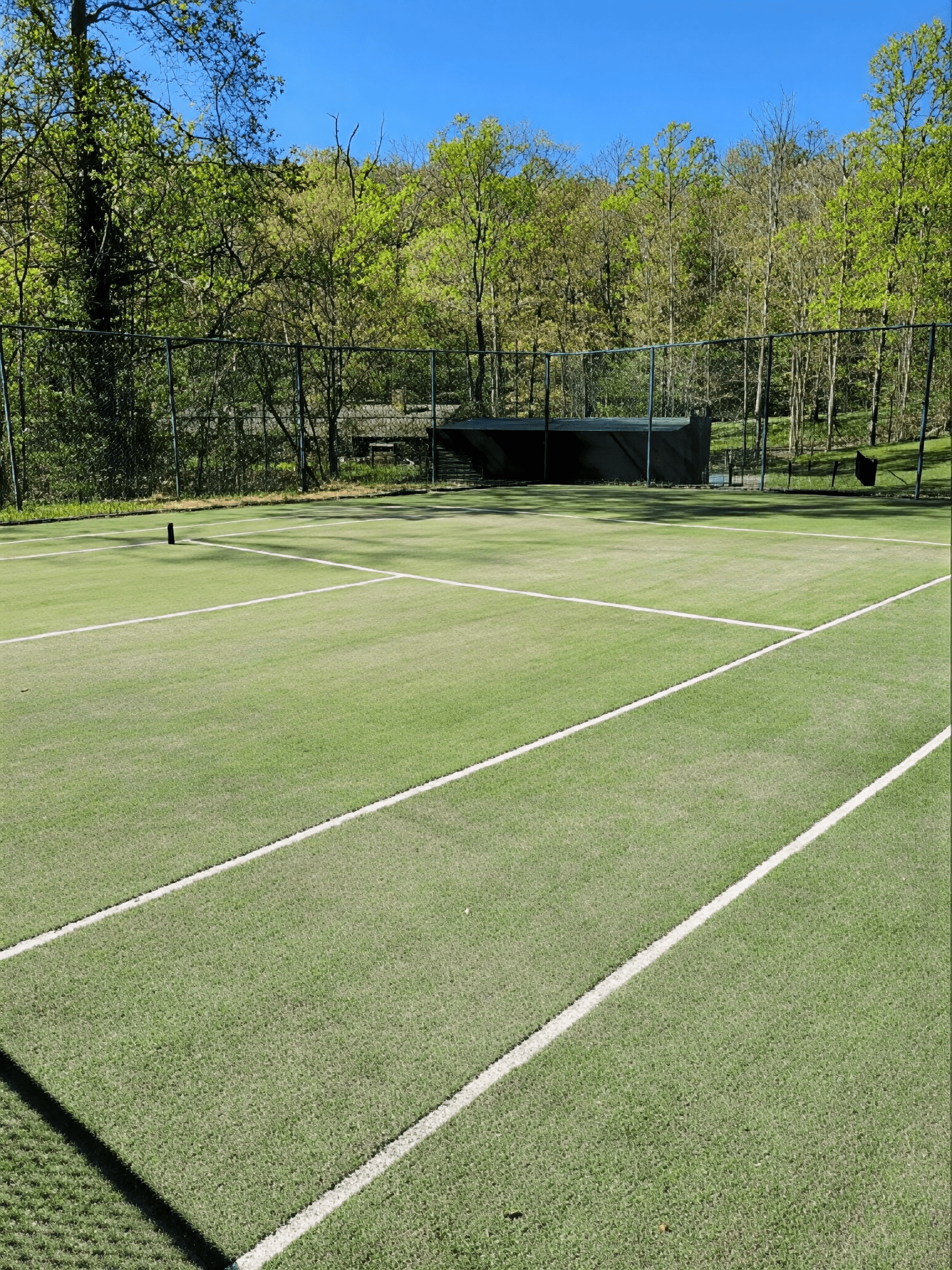 Empty tennis court surrounded by greenery