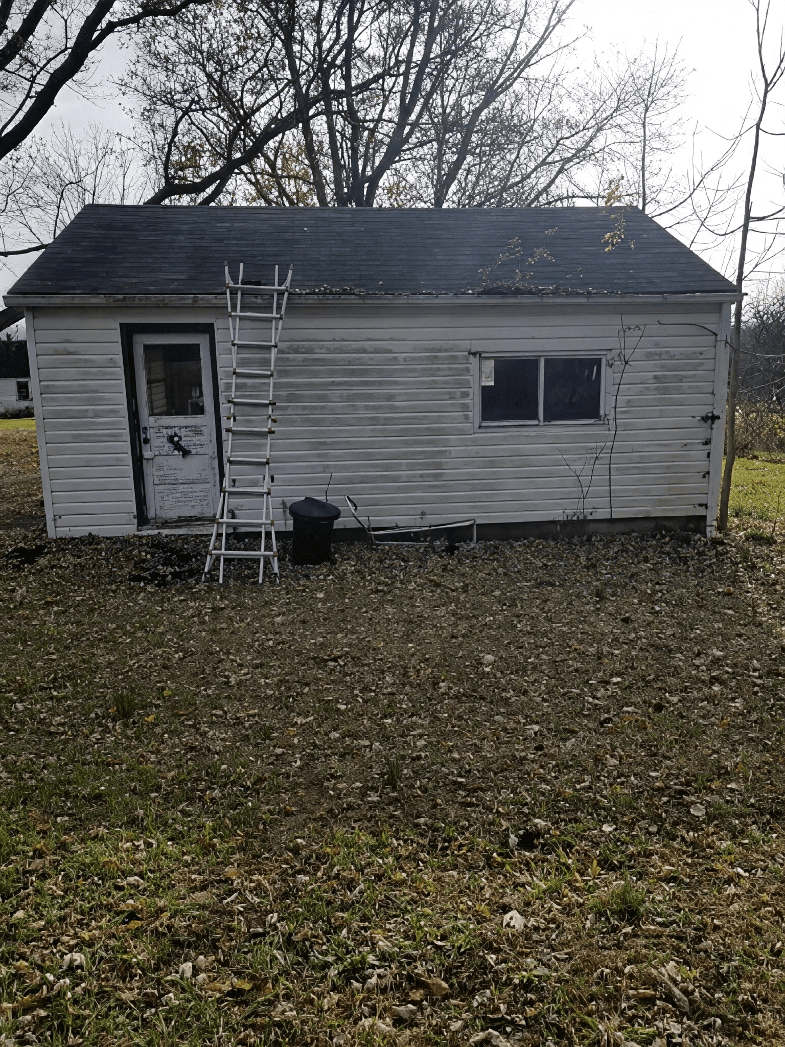 Small weathered shed with ladder